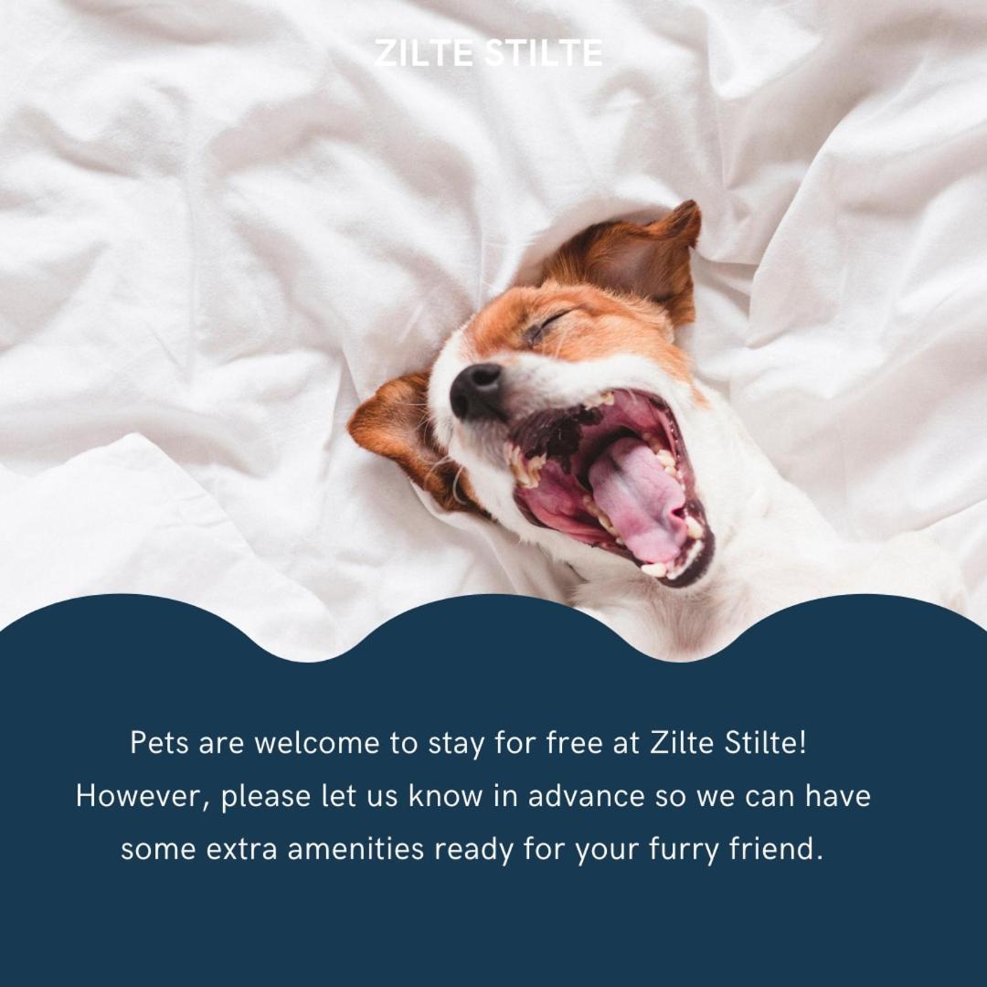 Appartamento Zilte Stilte Ostenda Esterno foto